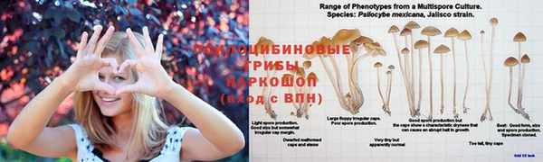а пвп мука Богородск
