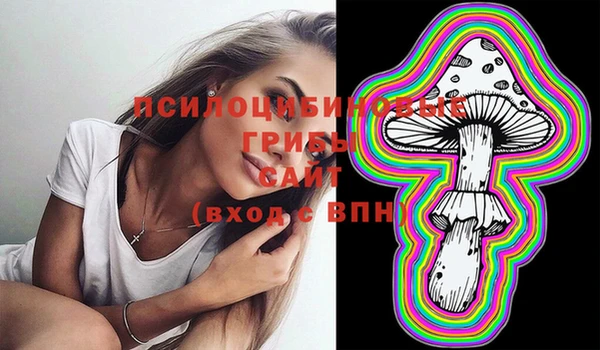 тгк Белокуриха