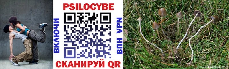 Галлюциногенные грибы Psilocybe  Власиха 